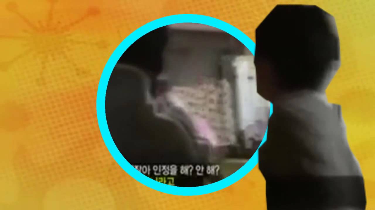 TV제거제(Moleskinsoft TV remover)