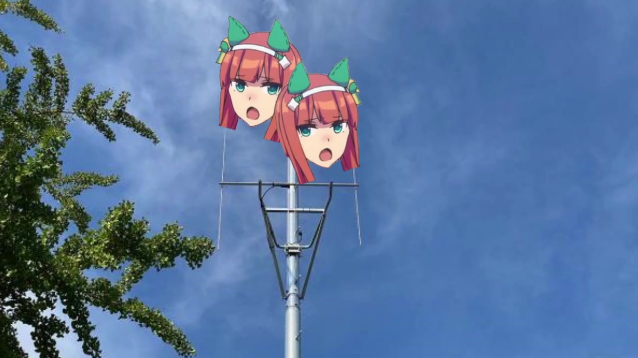 国民保護サイレンスズカ