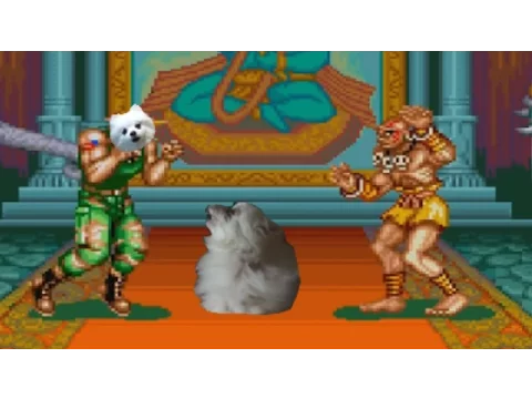 Gabe the dog - Guile's theme (Street barker II)