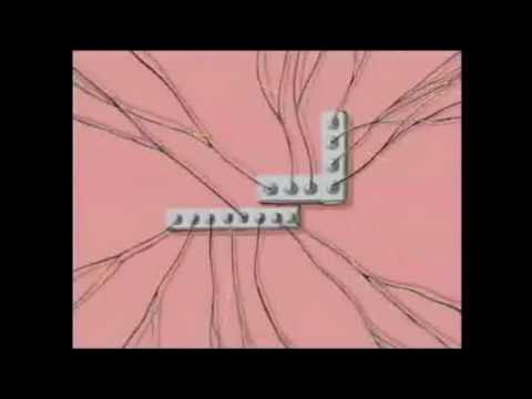 YTPMV.- Hotel Lololo