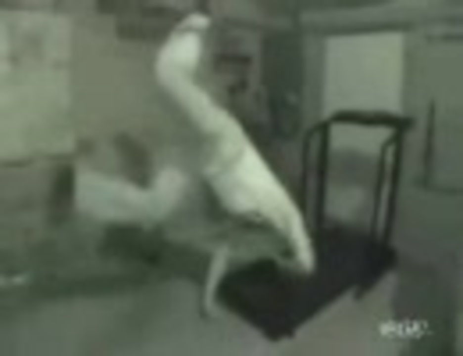 逆立ちでトレーニング