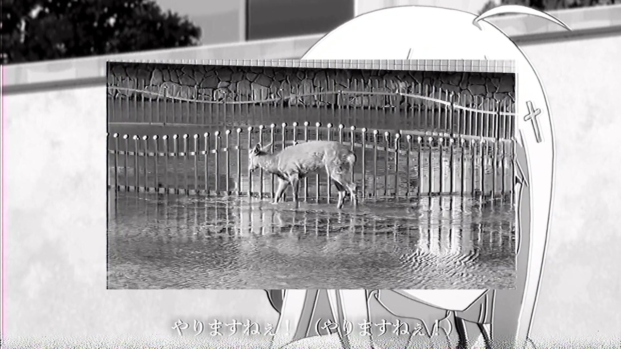 今月は毎日投稿？