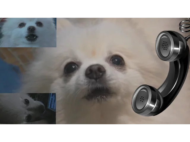 Masked Gabe vs. Phone