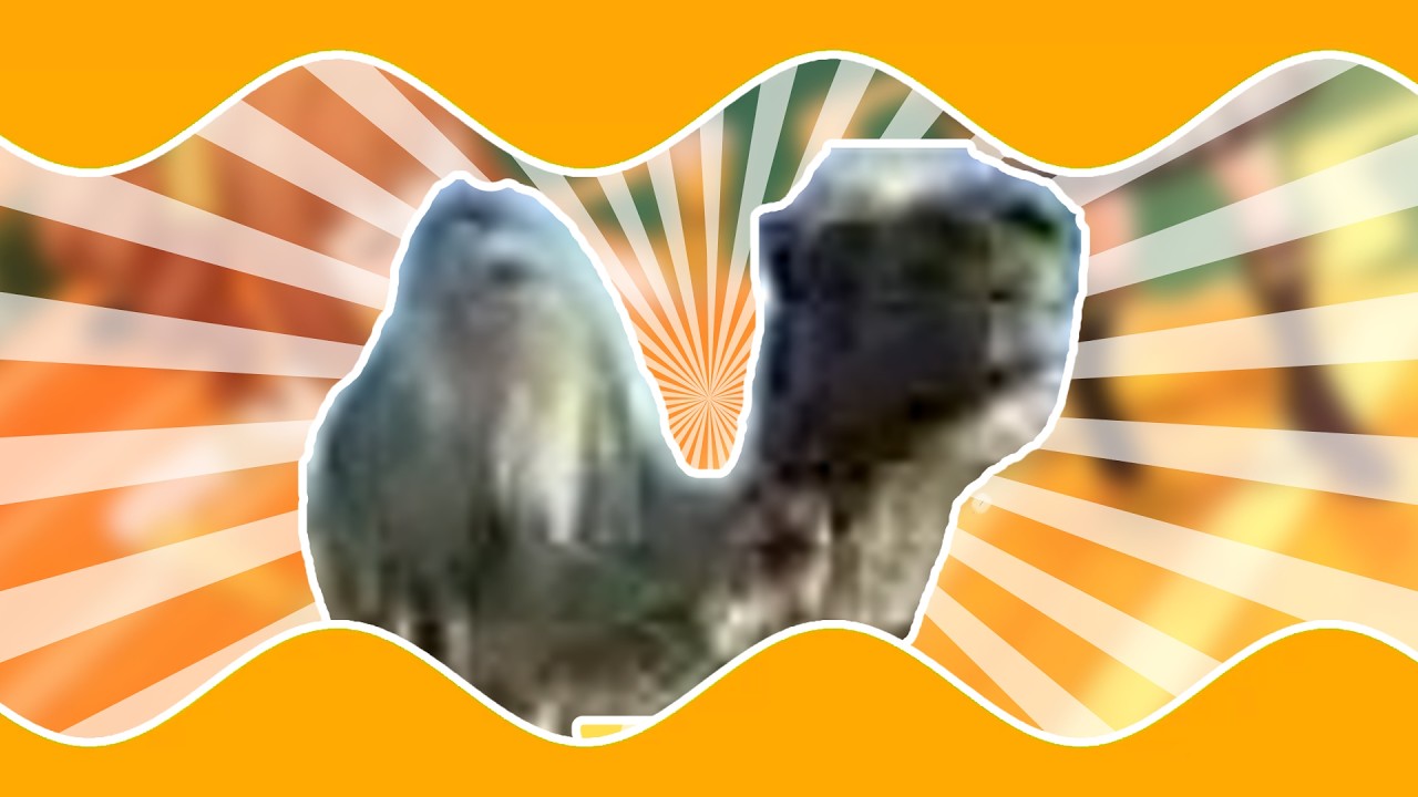 ㅤ