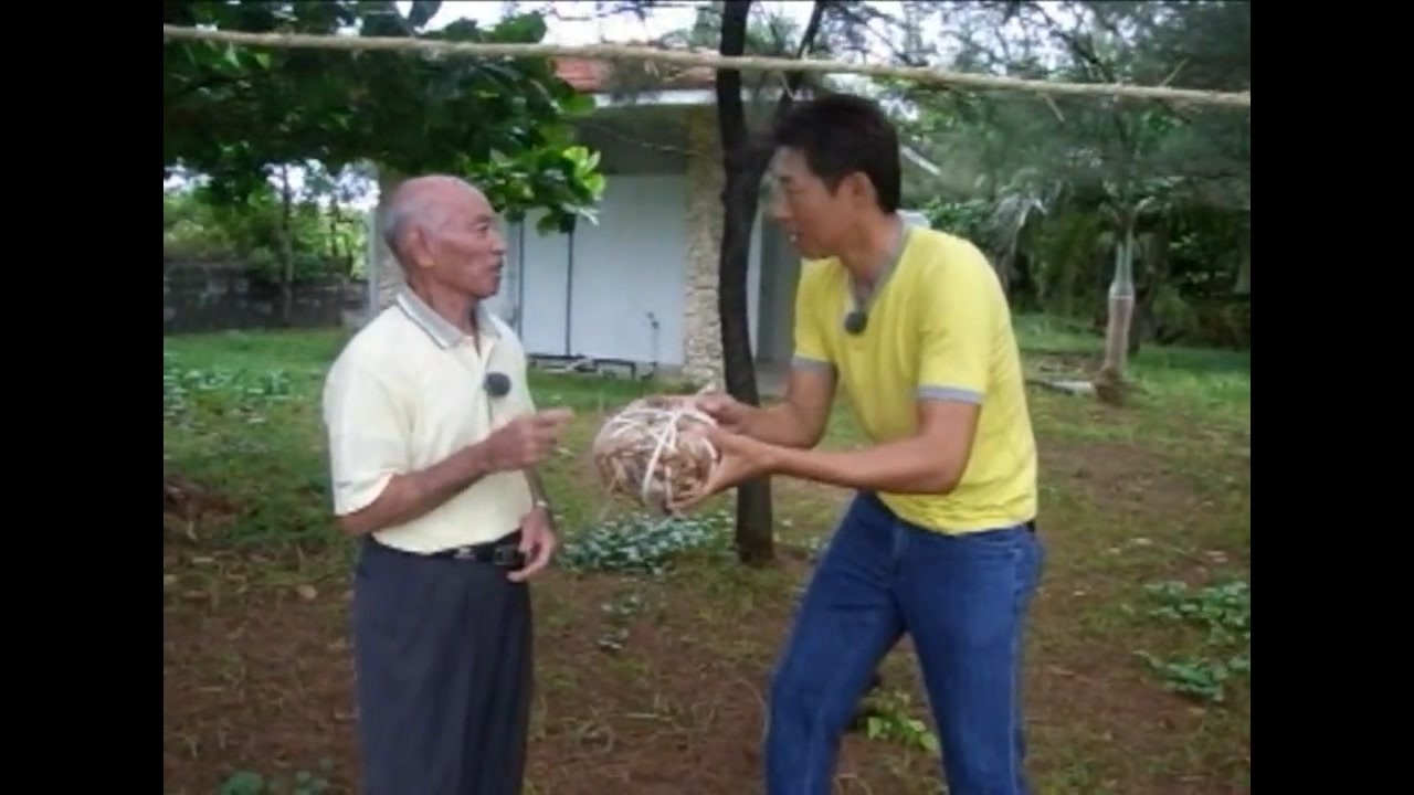 プリムローズマツオモブ