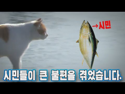 꽁꽁 얼어붙은 고양이 ZONE