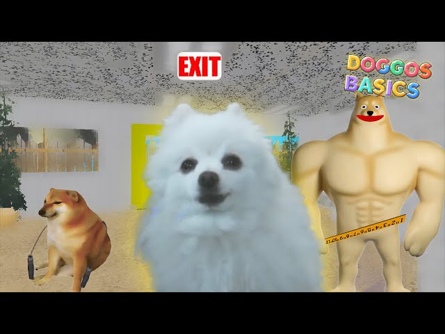 Doggos Basics - Basics in Behaviour