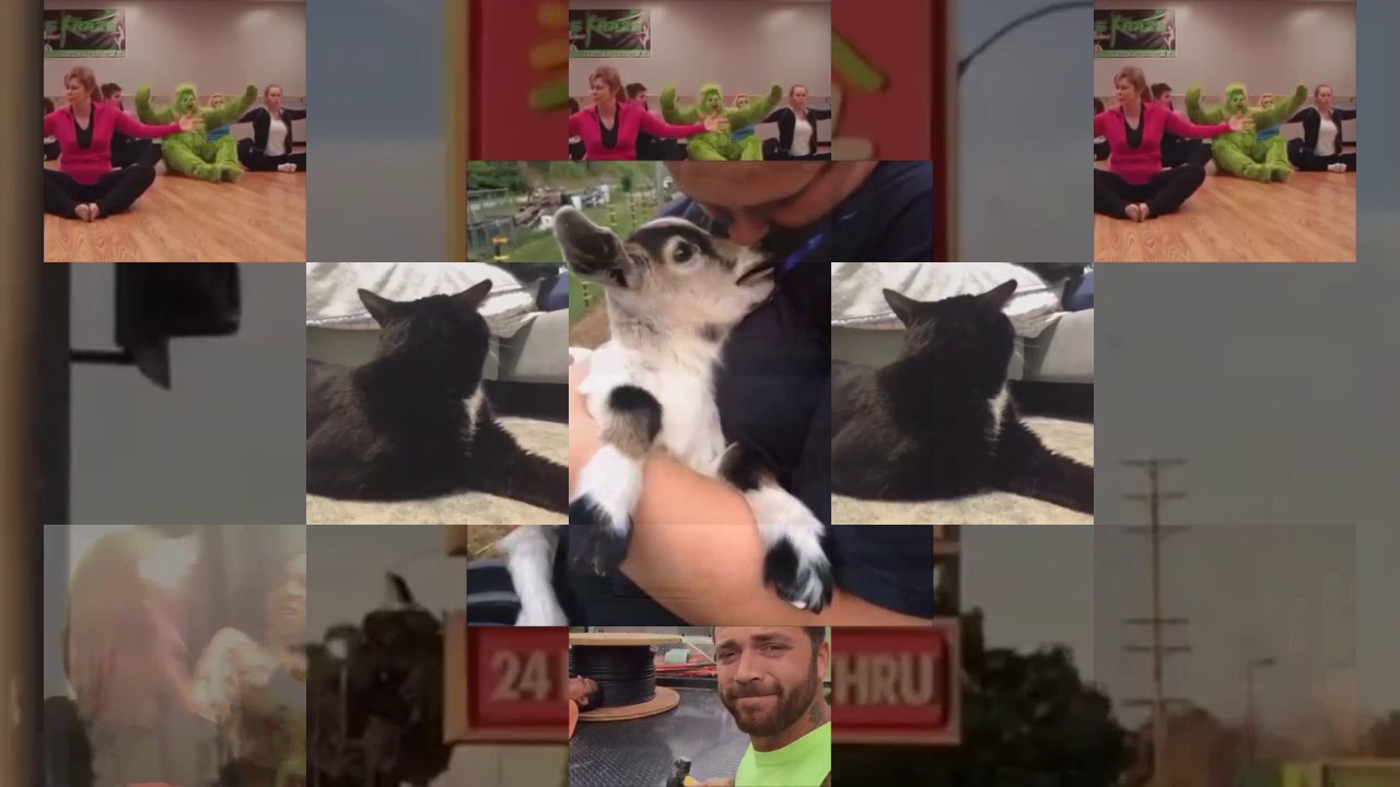 The Snippet Vine Compilation