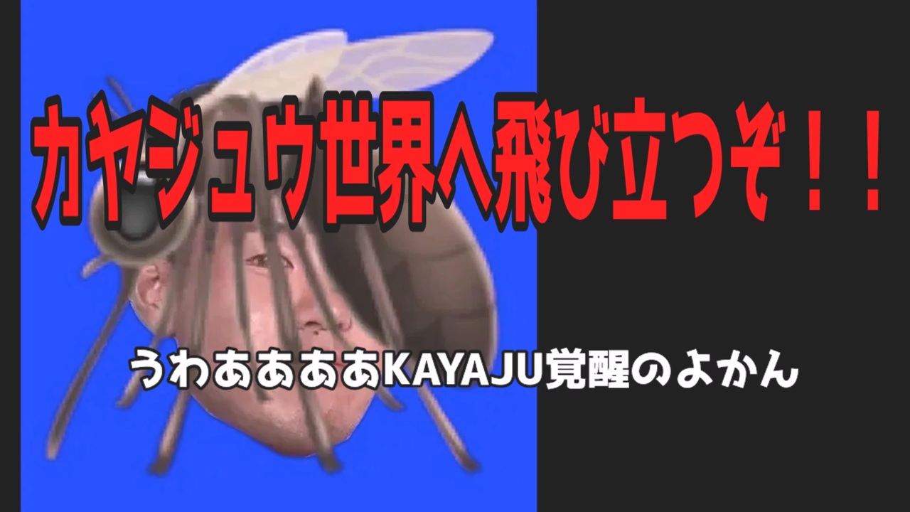 蚊スノヨゾラ哨戒班