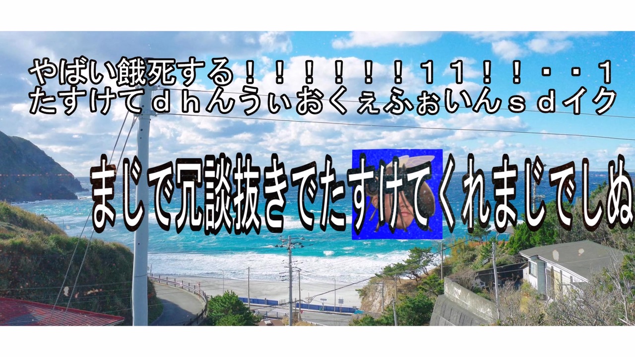 蚊ばっかり