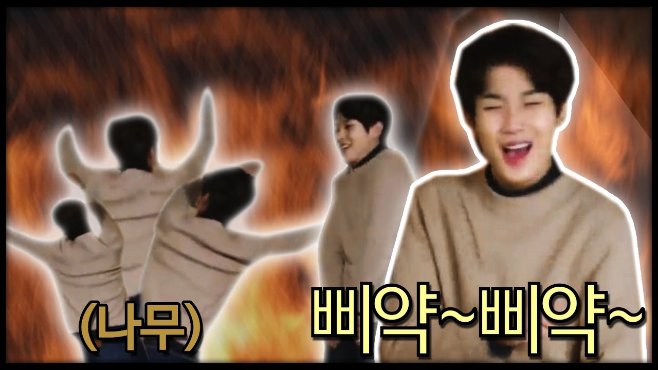 최우식과 삐약삐약 생활
