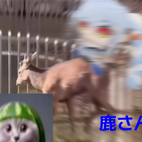 MONTAGEM 鹿さん