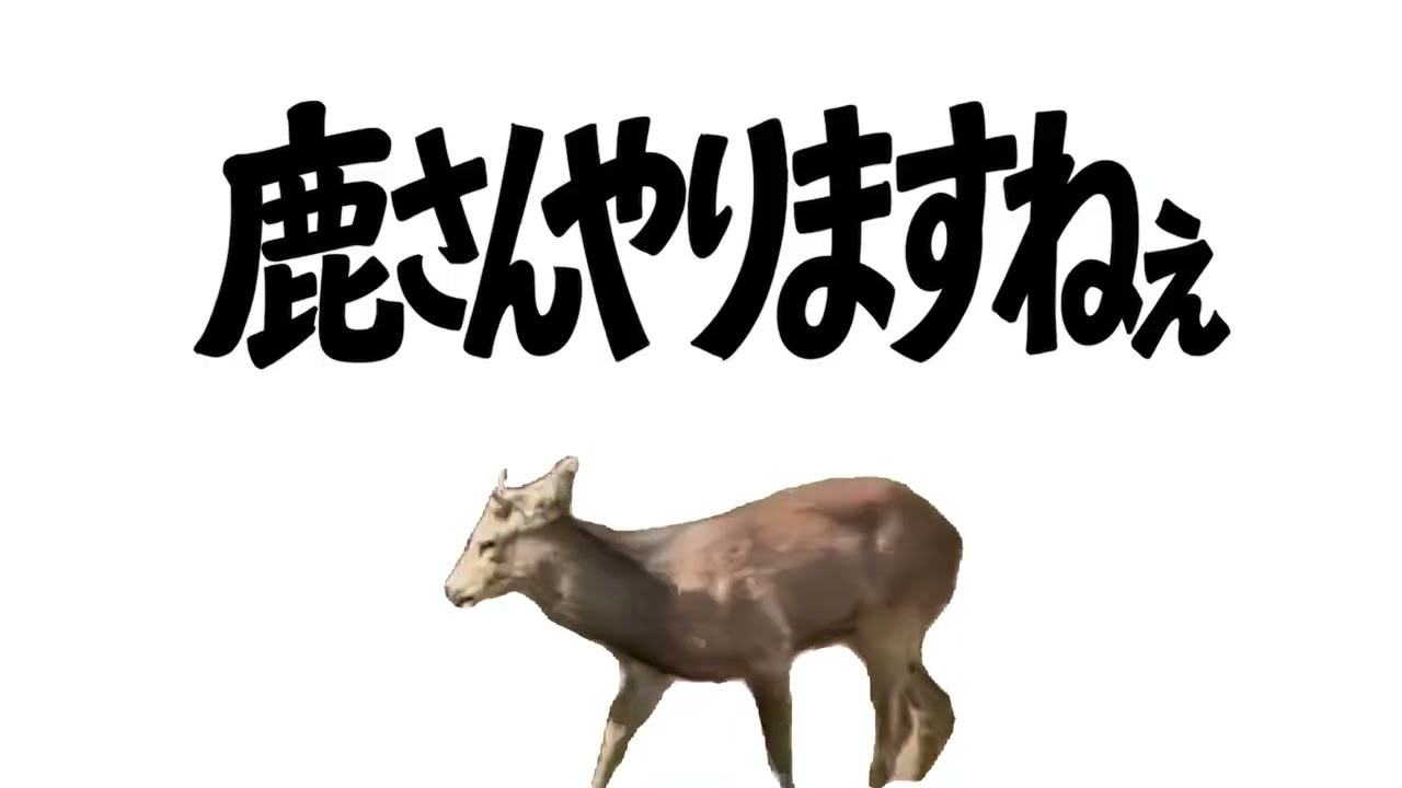 鹿さんよろこんで