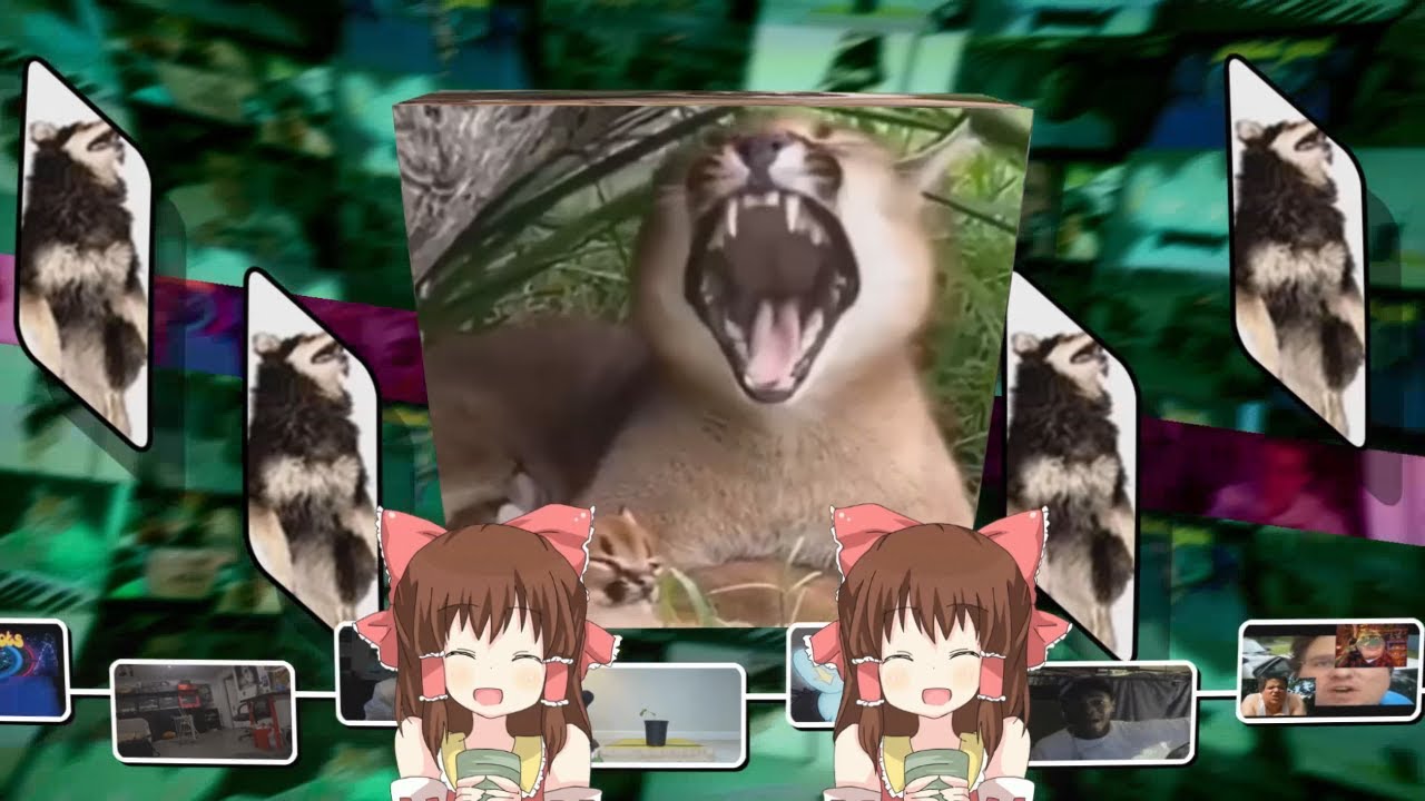 STAYTPMV