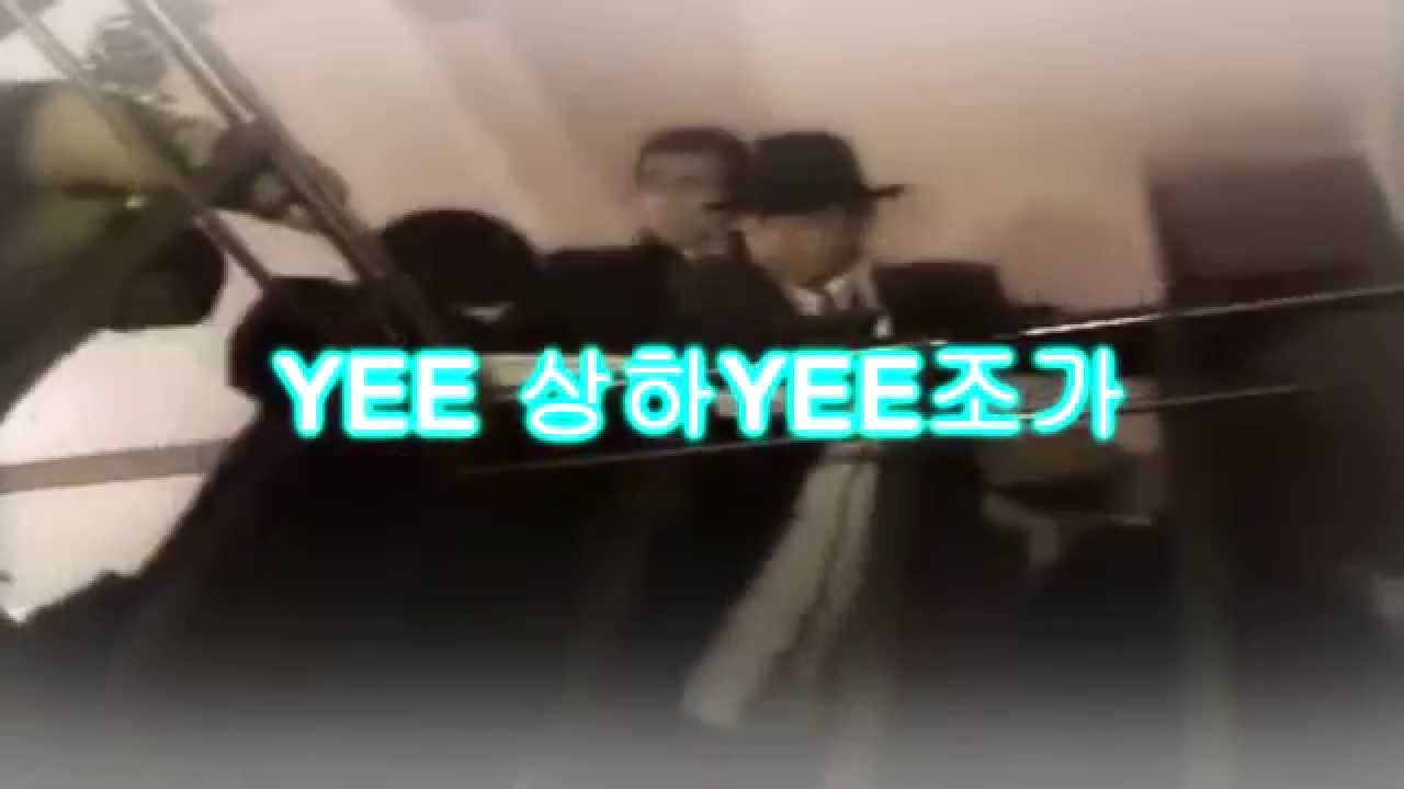 심영디스코