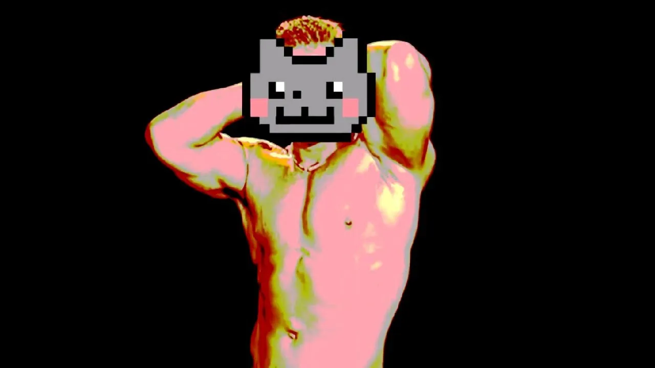 ♂ NYAN ♂ CAT ♂