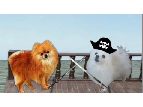 Doggos of the Borkribbean