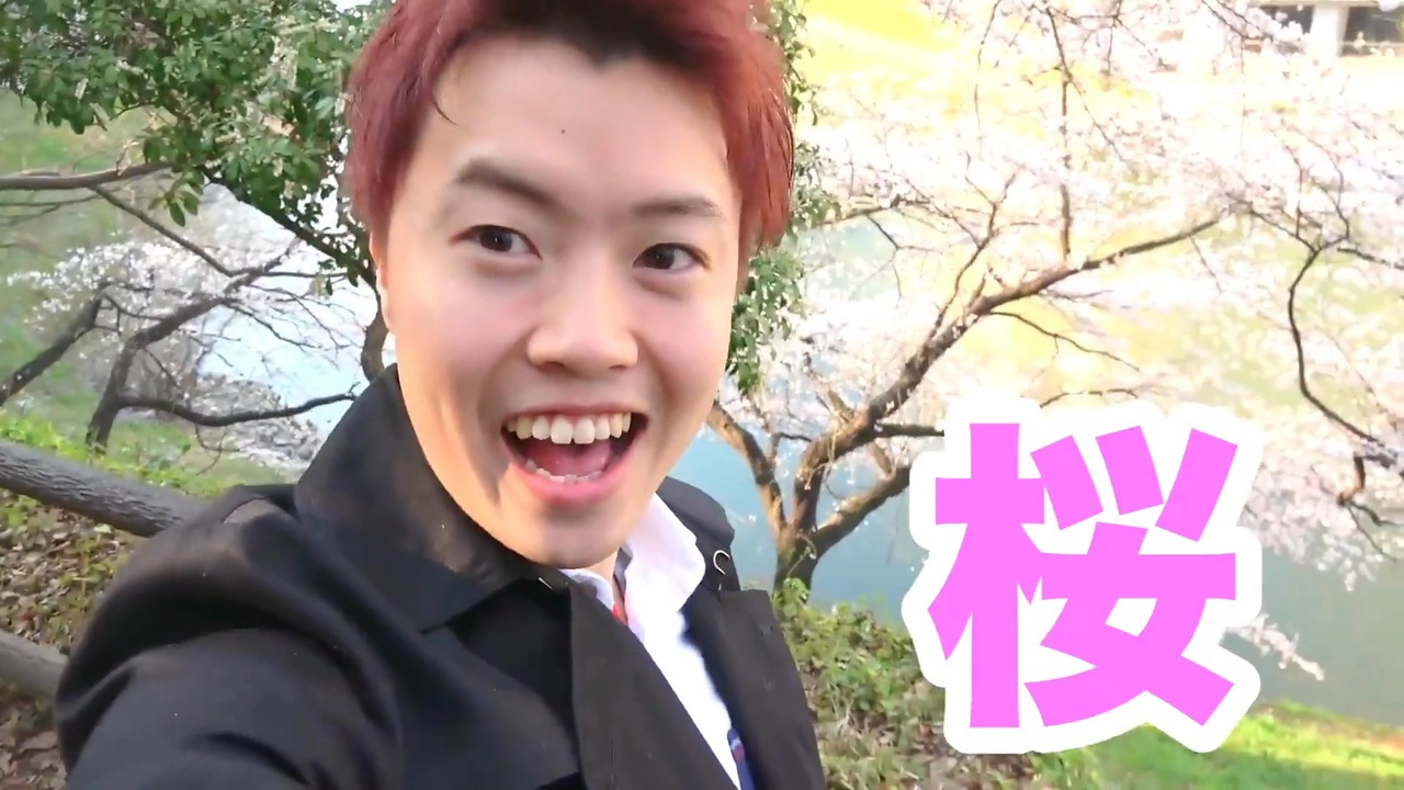 マスオが降りてくる　～ Evening Mastar