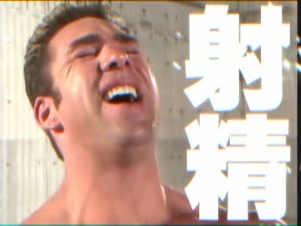 YO-SEI Disco