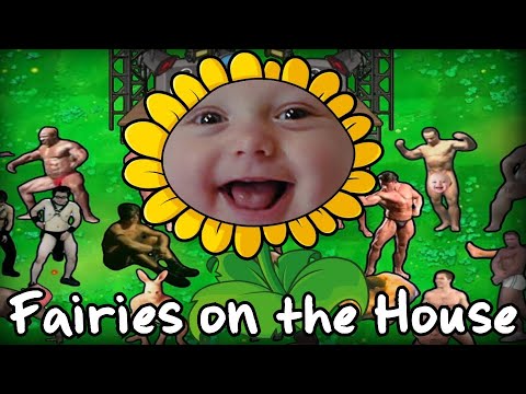 ♂ FAIRIES ON THE HOUSE ♂