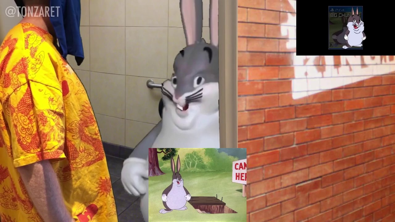 chungus scan