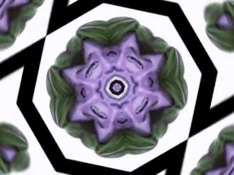 【元首与全明星的暴走】Judgment Stars