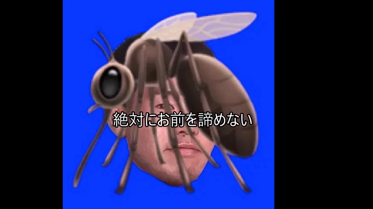 少女kayajusenpAi