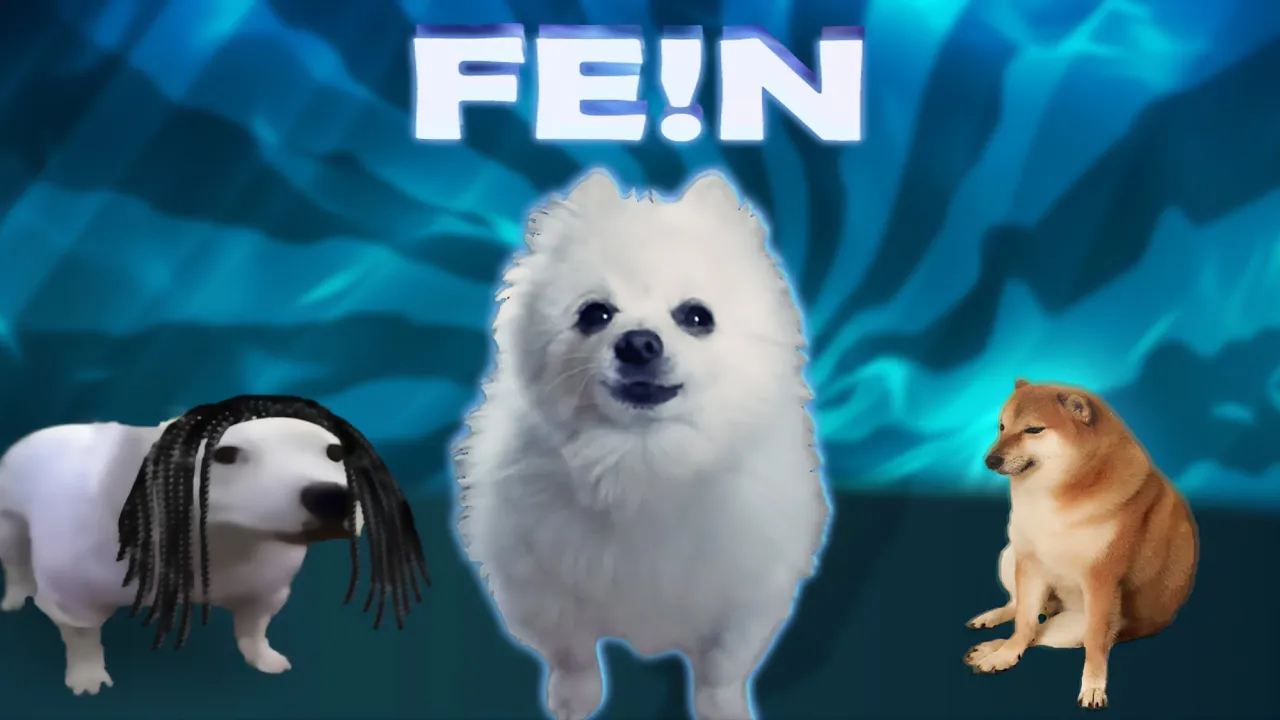 FE!N Dog version