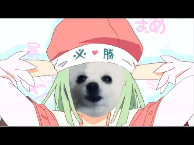 Bork Circulation