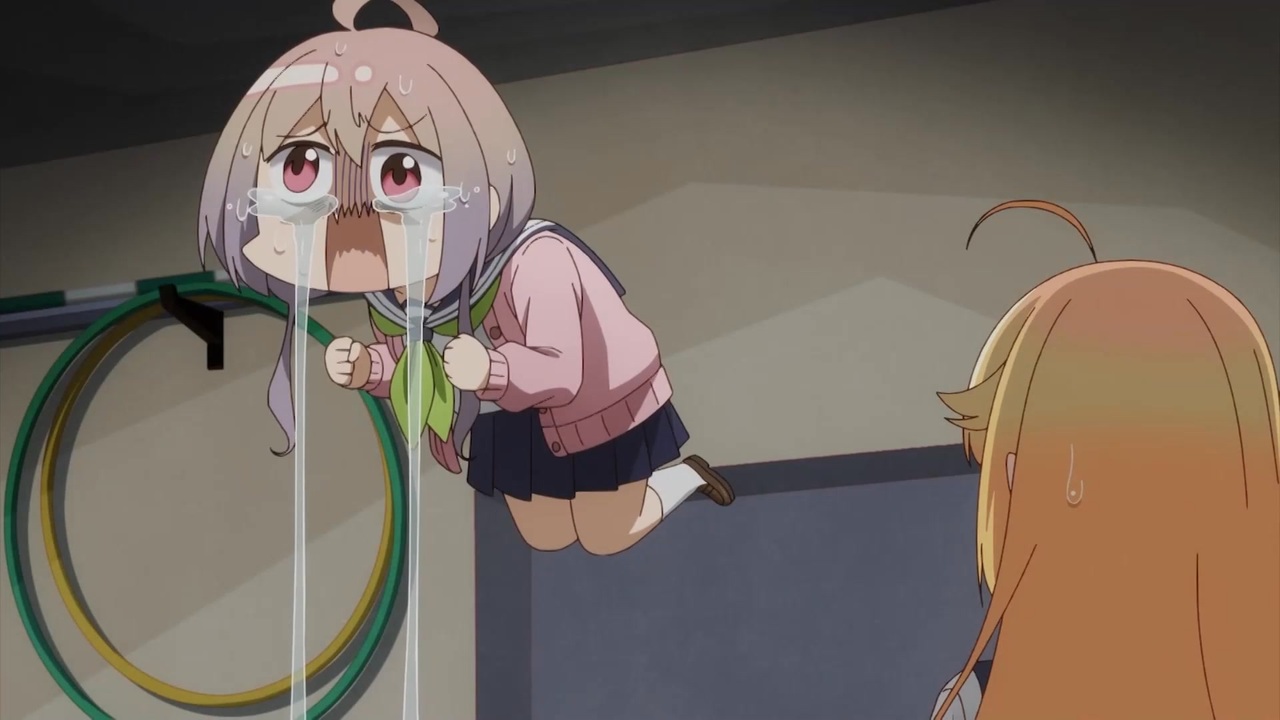 ローリンタヌキ