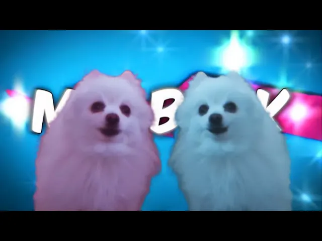 MrBork