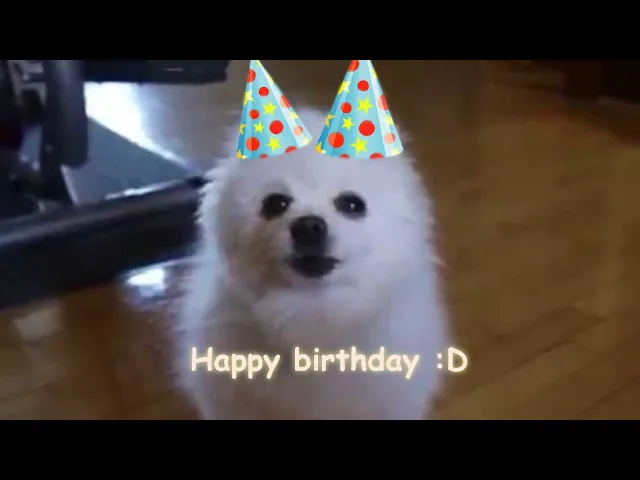 Happy Borkday