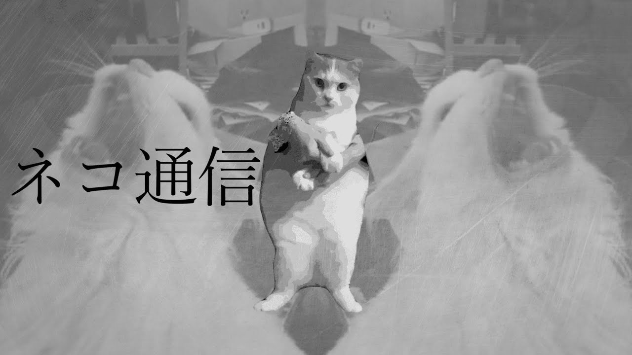 ネコ通信【音MAD】