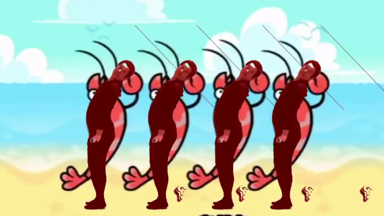 ハラディシコ