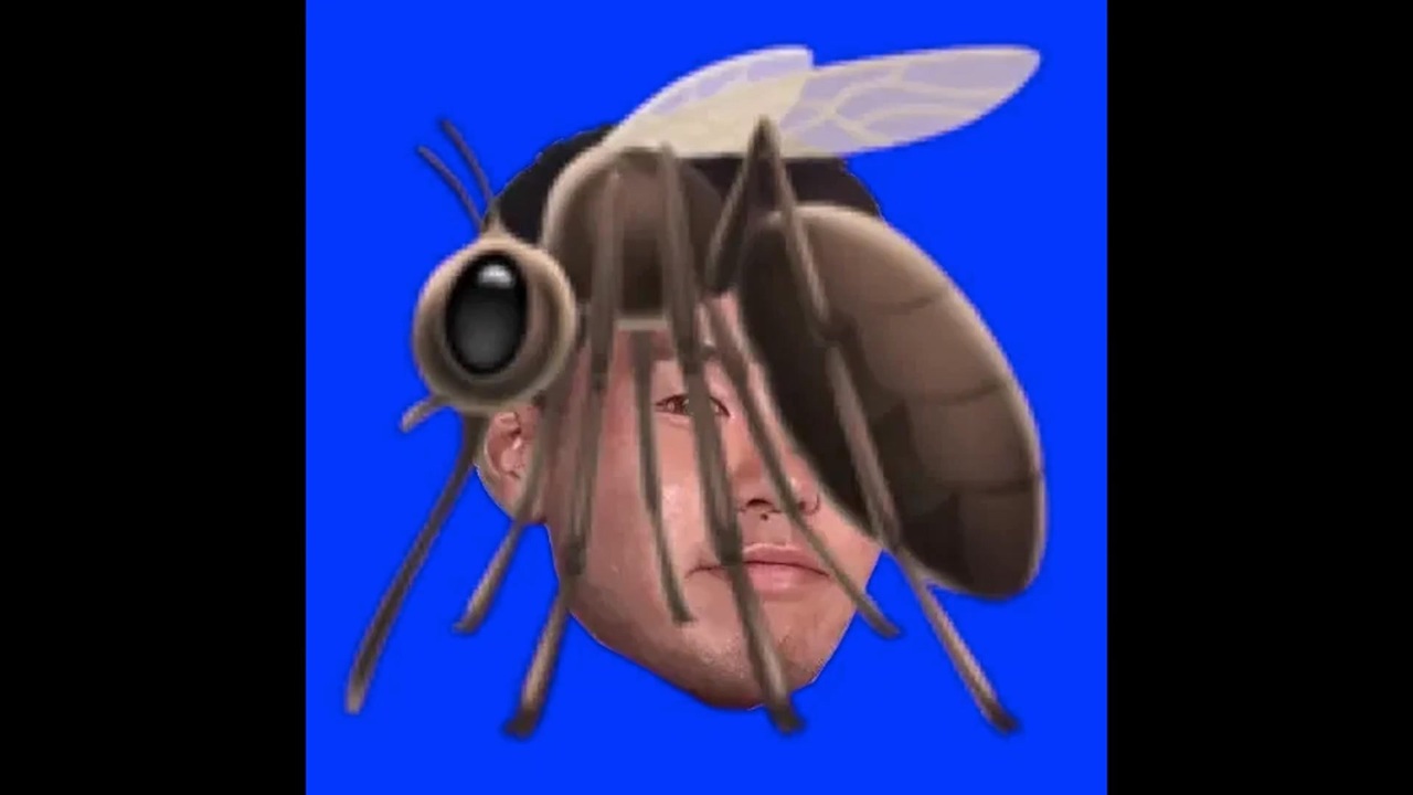 Big Kayajue 2026
