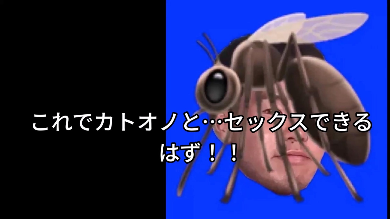 カヤジューライド