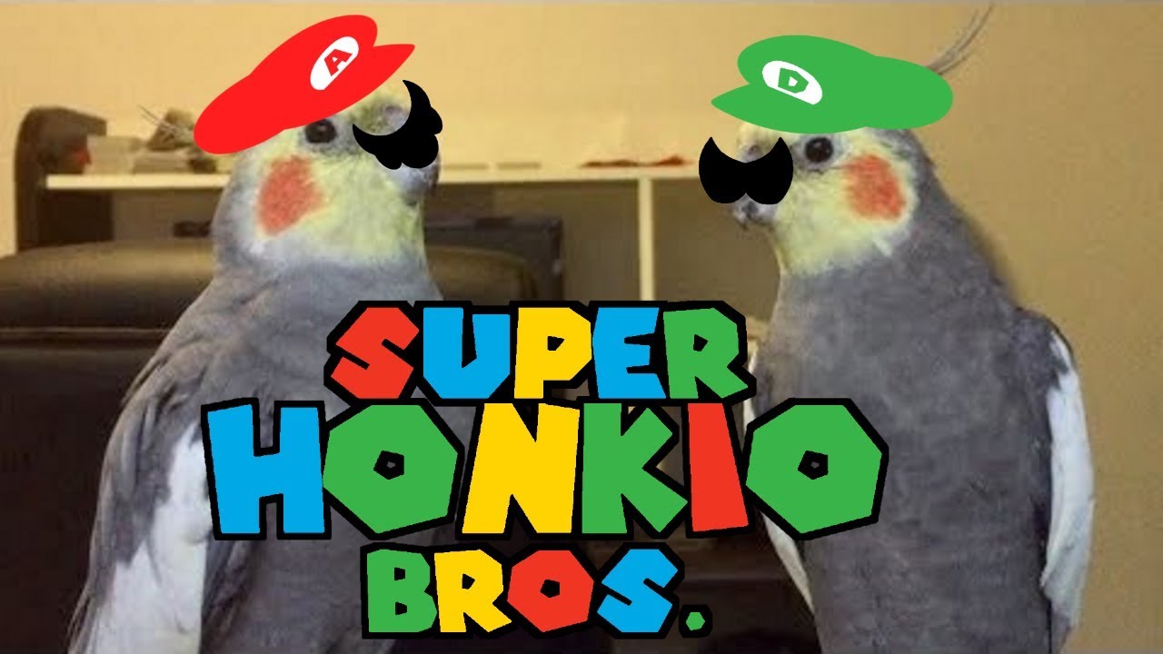 [YTPMV] Super HONKio Bros. 3 - Featuring Alex and Dominic
