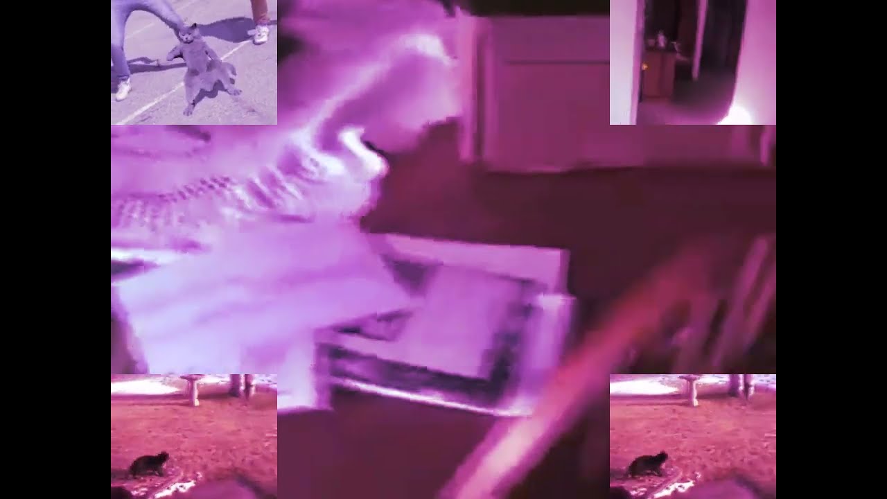 Man Yelling at Pink Cat