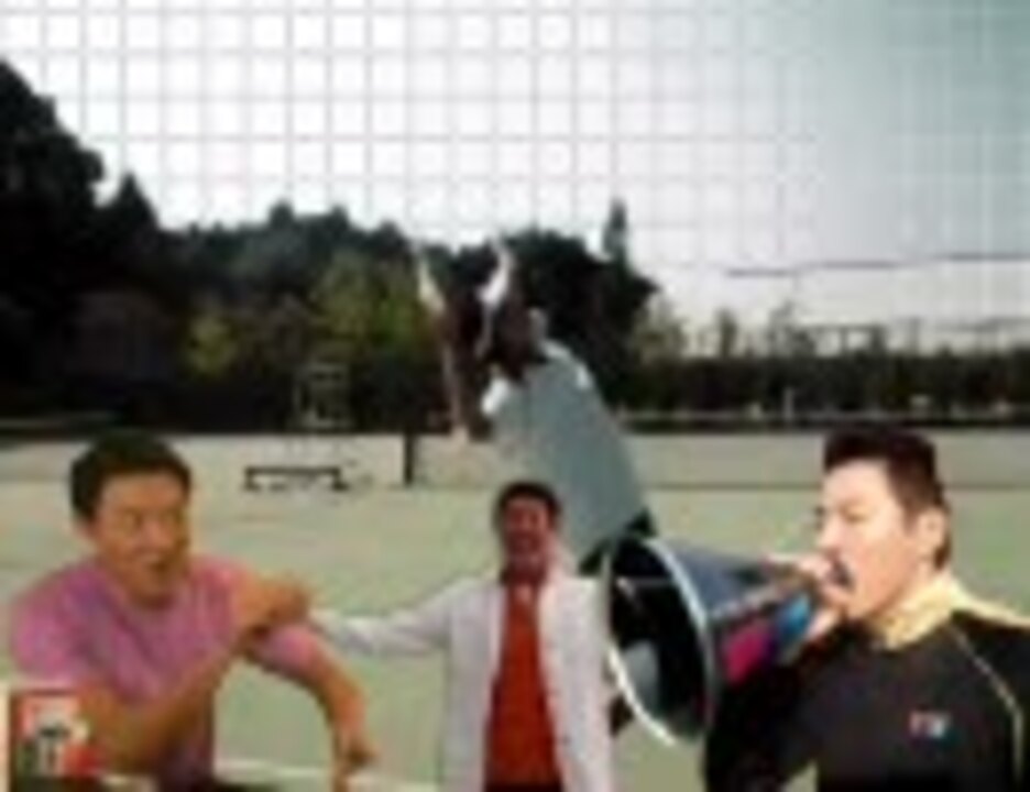 マツオペイント　ハエたたき　2面