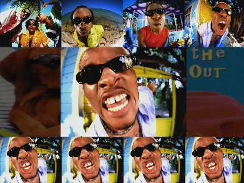 Who Let the Sims Out