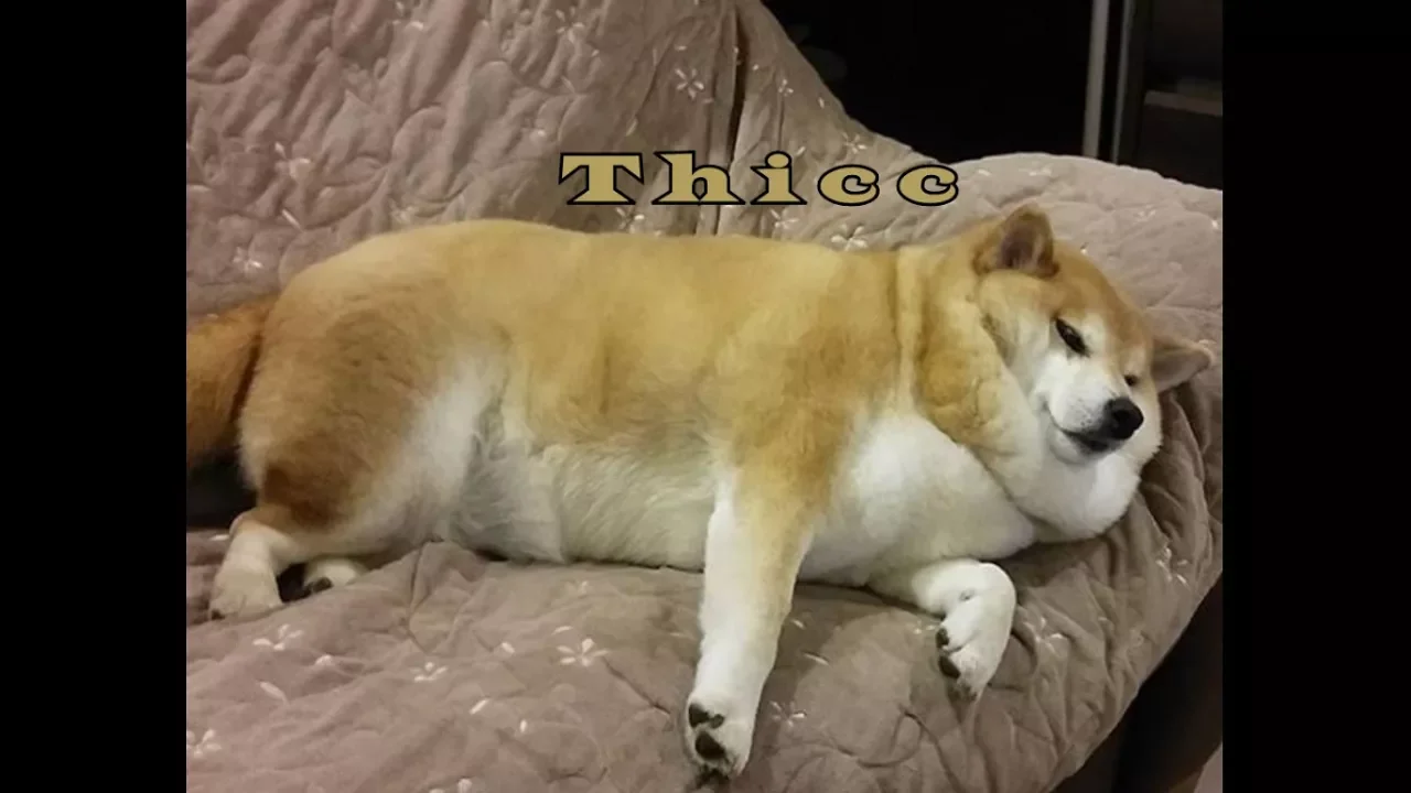 the perfect shober does not exi-