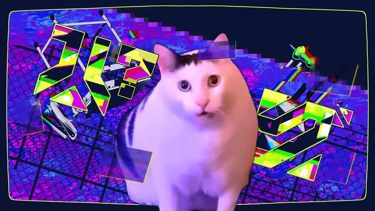 【音MAD】は?グ/猫ミーム