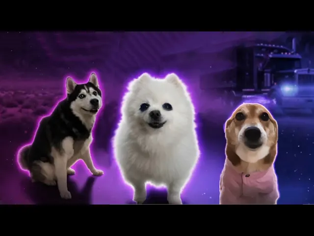 Dogs x Tame Impala - Dogcula