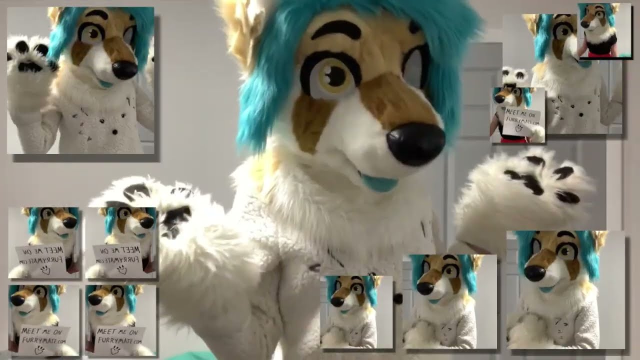 (Reupload) Furrymate YTPMV 2 [stik's ytpmvs]
