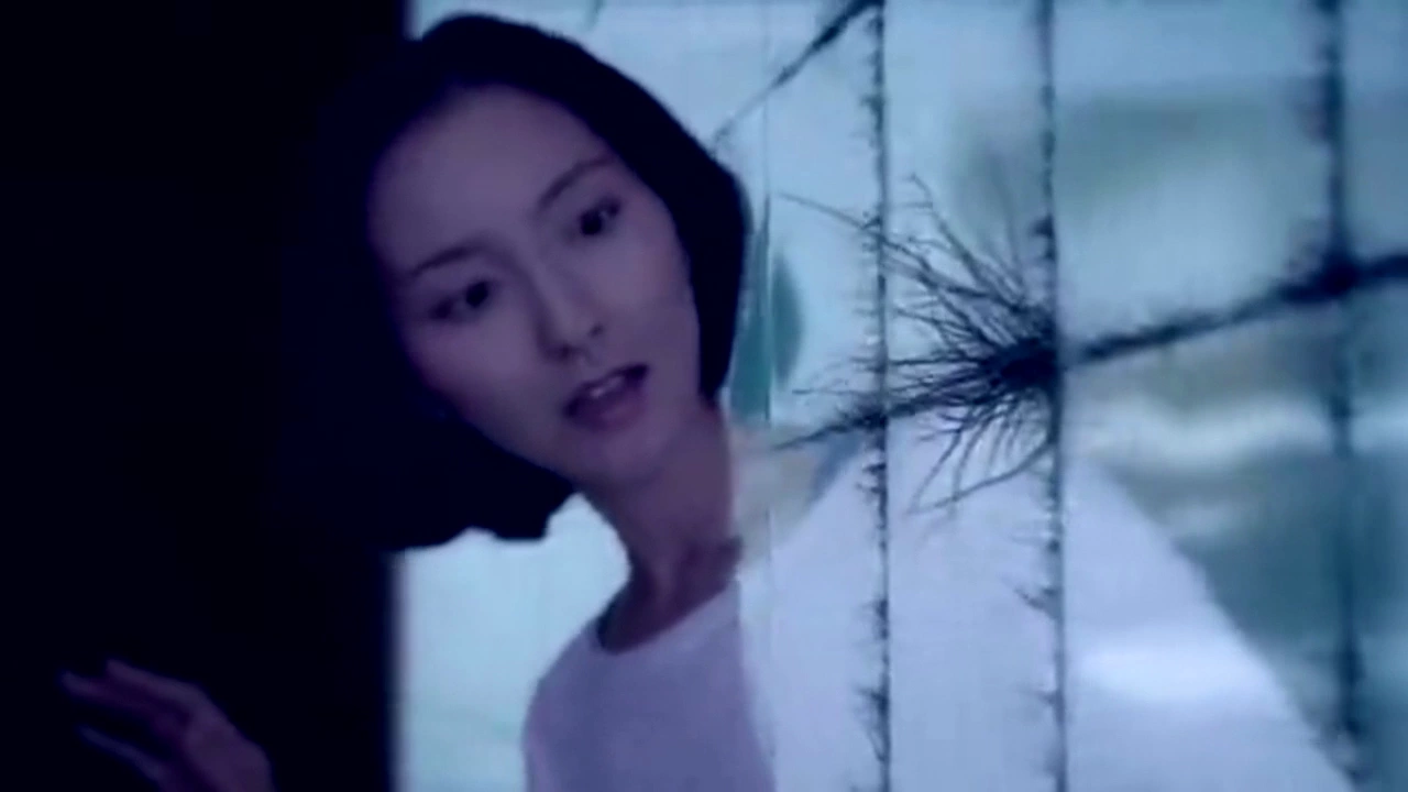 き ょ う り ょ く し ん と ー ム