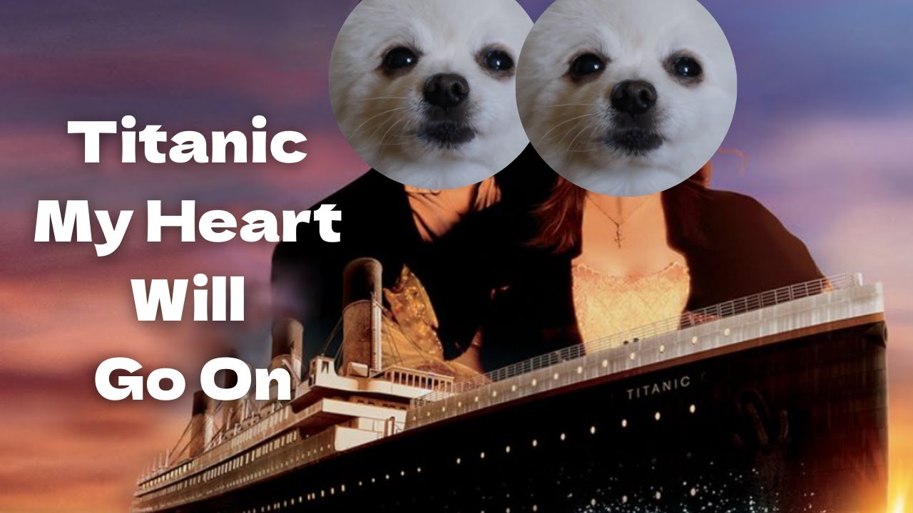 Titanic - My Heart Will Go On(Dog Cover)