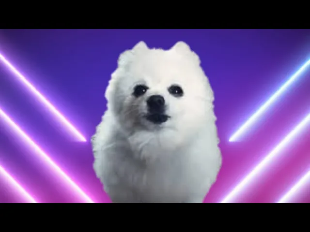 Lil Dog x - Industry Borks