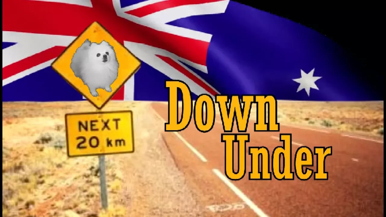 Pups at work - Down Under