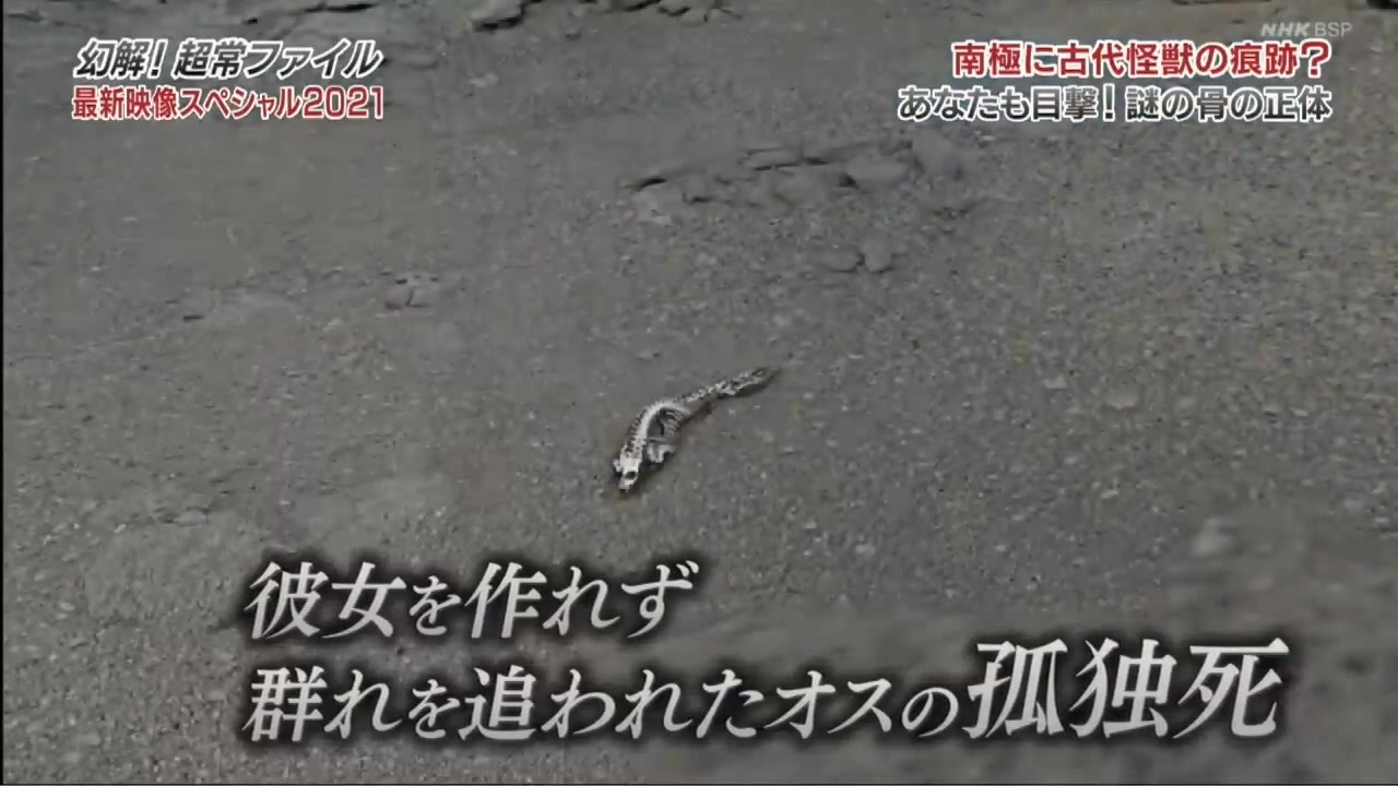 敗北孤独死前線