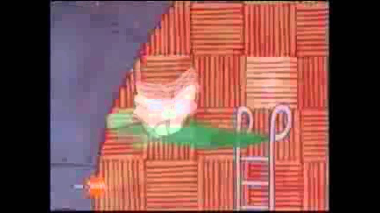 SpongeGoose